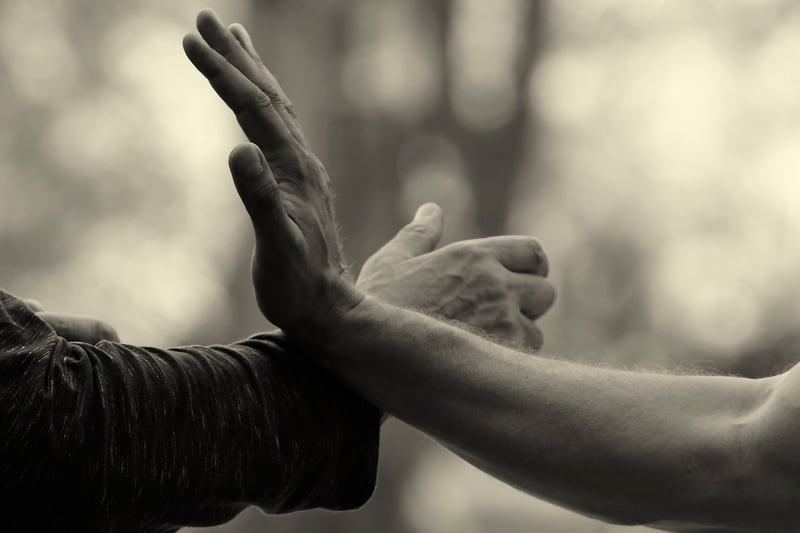 Chen Style Tai Chi